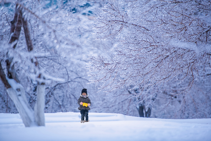 冰雪图集—初雪